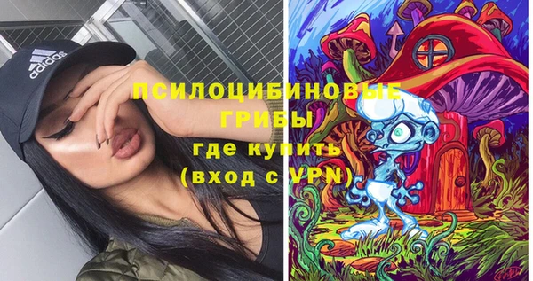 крисы Балахна